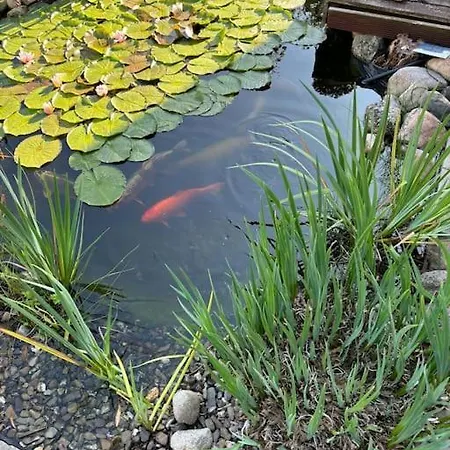 アパート Ferien Oder Wochenendwohnung Glinstedt