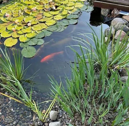 Apartament Ferien Oder Wochenendwohnung Glinstedt